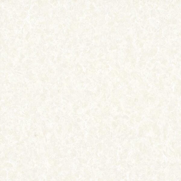 floor tiles wall polished white kt cs6000 (copy)